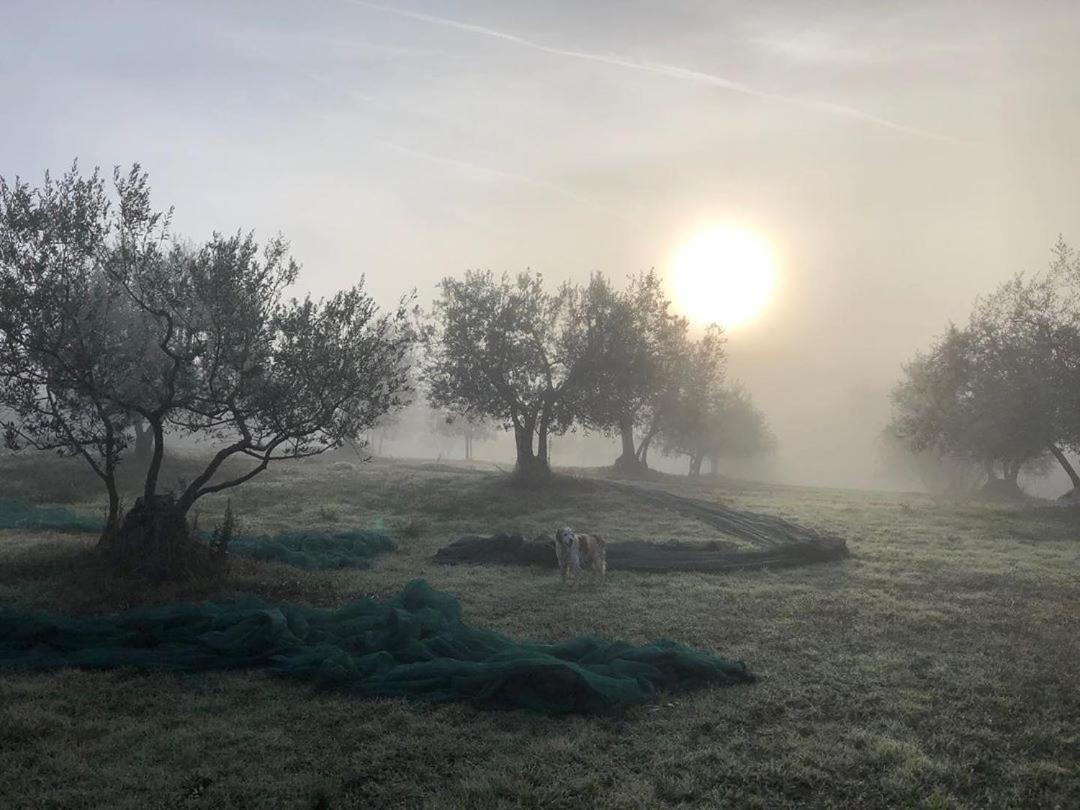 Podere Campovecchio Rapale Экстерьер фото